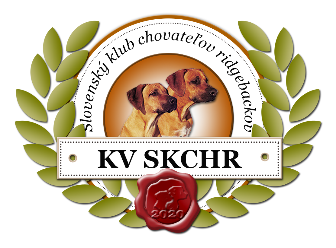 logo KV 2020