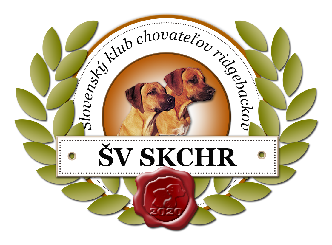 logo SV 2020