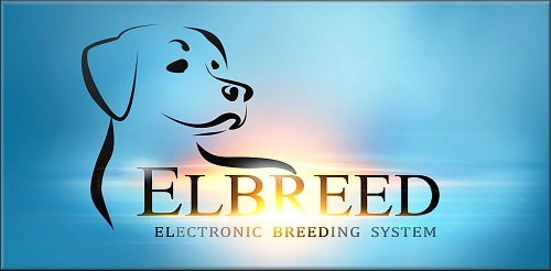 skchr elbreed