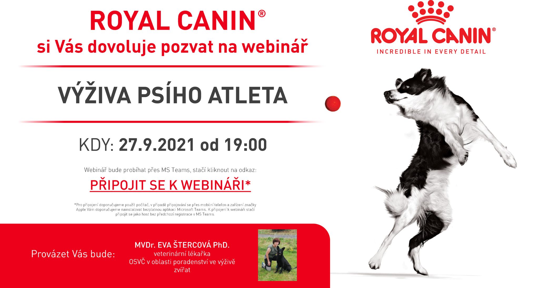 webinar RC