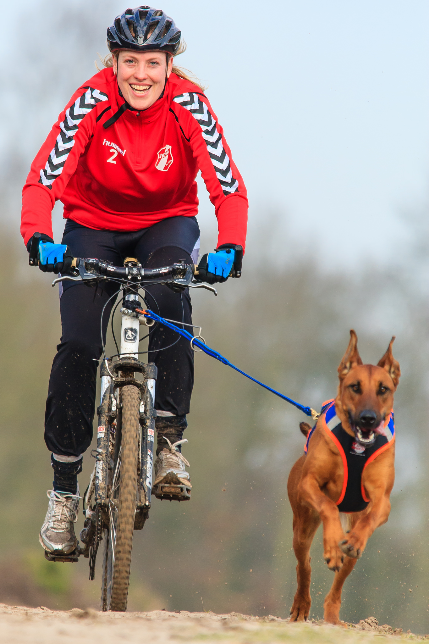 Bikejoring