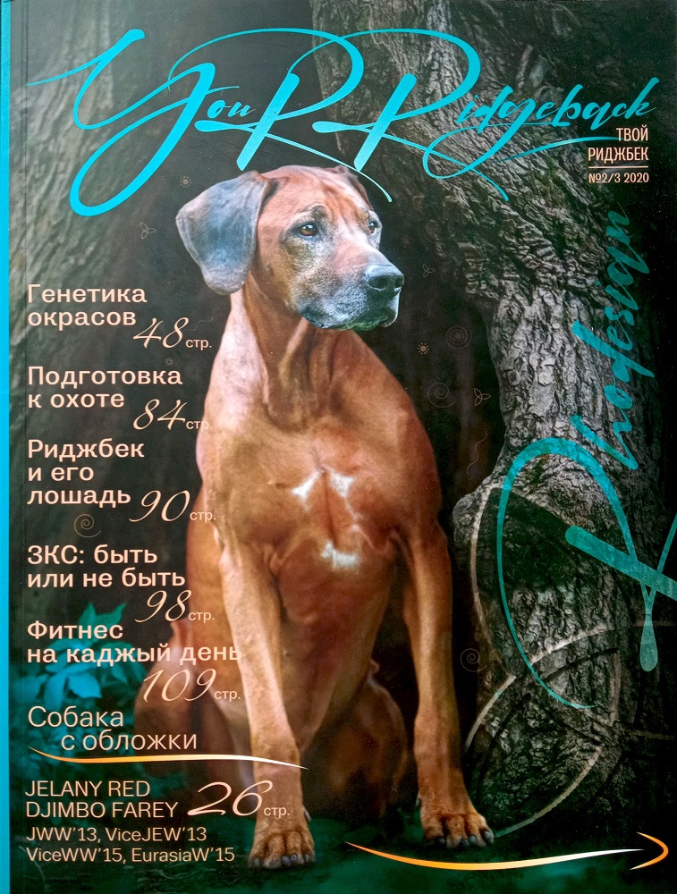 obálka Your ridgeback