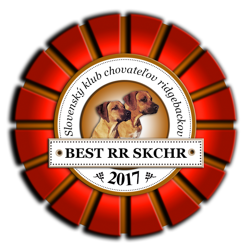 best rr 2017