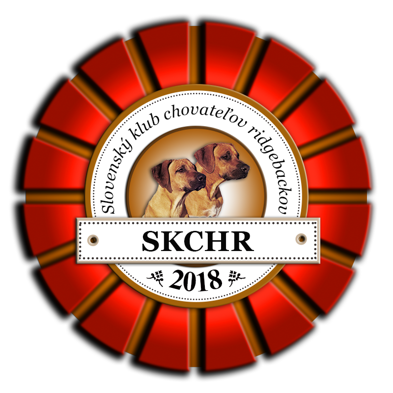 logo BestRR SKCHR 2018 všeob