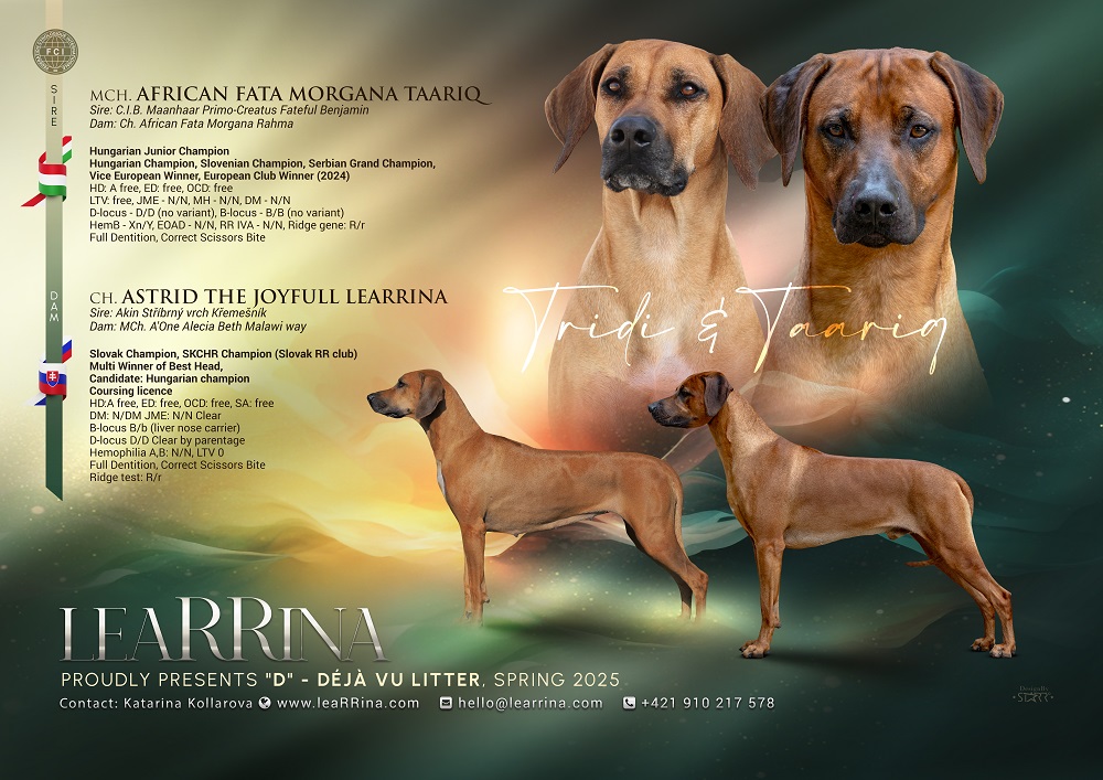 Learrina Dlitter