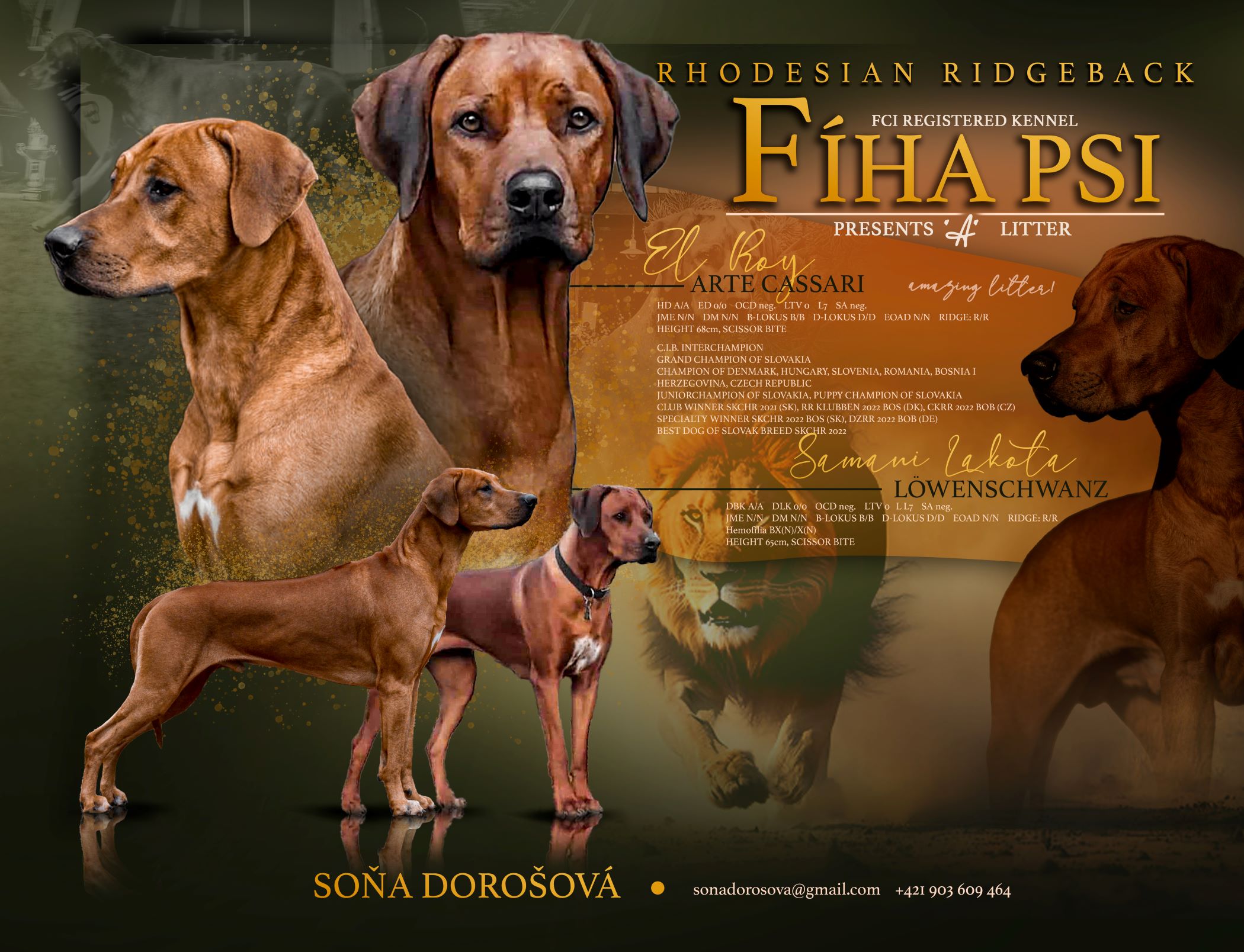 dorošova1