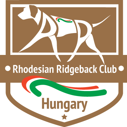 logo RRCH