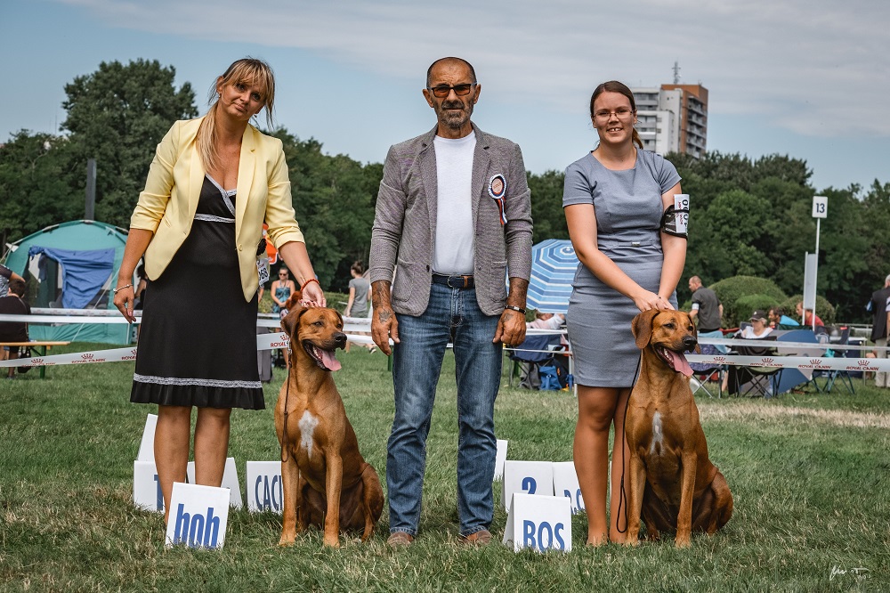 CACIB BA 2019 august nedeľavíťazi