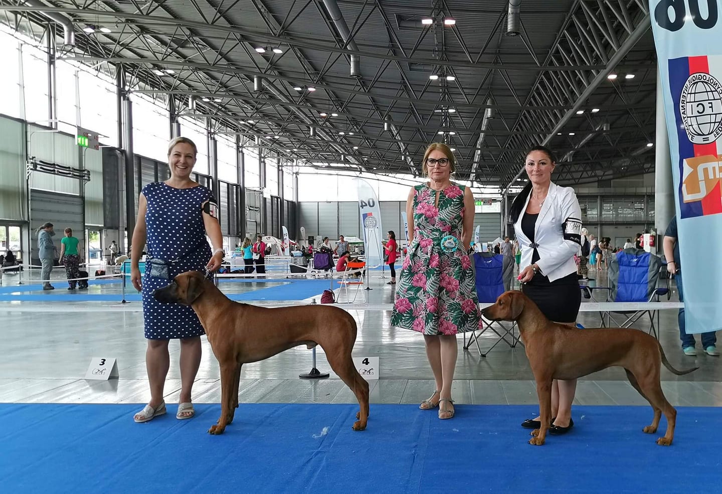 CACIB Brno 2019 BOB BOS