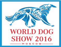 WDS16 logo