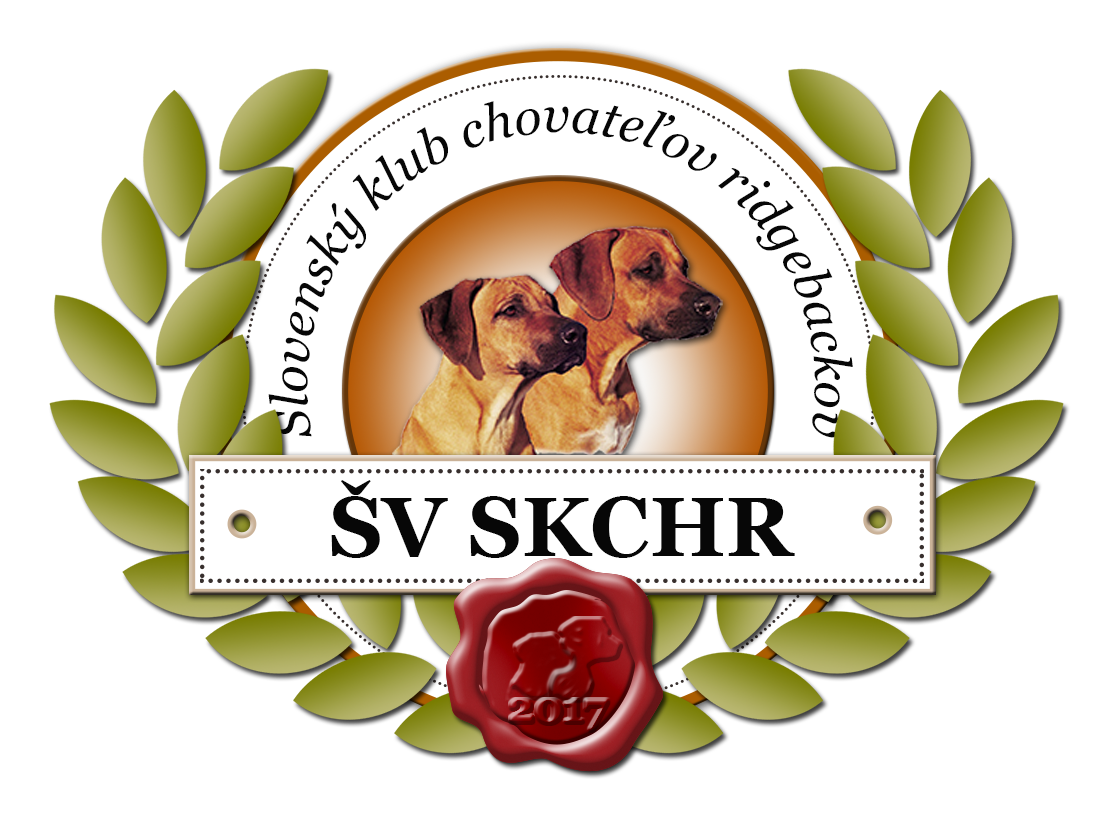 logo sv 17